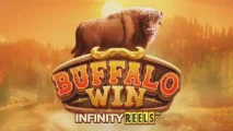 Buffalo Win