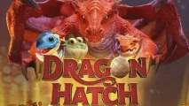 Dragon Hatch