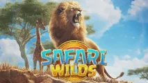 Safari Wilds